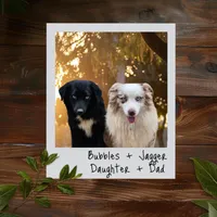 Jagger, a male Miniature Australian Shepherd for sale in Dale, TX – Photo 9 of 9