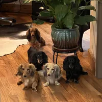 processed/2c625cb6-3fd4-4fcf-974a-d1417f8e96e8/facility/6e906b9d-96e9-4641-b540-a4be49f5a8f6