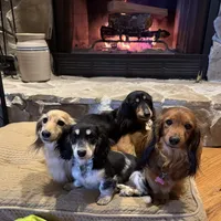 processed/2c625cb6-3fd4-4fcf-974a-d1417f8e96e8/facility/d373e726-a8f6-4630-8474-c3b231f96a0a