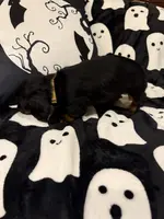 Yellow female, a female Miniature Dachshund for sale in Americus, GA – Photo 7 of 10