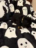 Yellow female, a female Miniature Dachshund for sale in Americus, GA – Photo 8 of 10