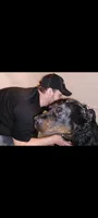 Ms. Plum, a female Rottweiler for sale in Butler, IN – 6 of 6