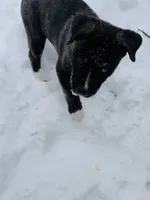 processed/2c6717a7-c2af-4677-bdc8-cdb0fdaa481e/listing/2db0f424-5b13-428a-9e69-a004ad1edc37/30b6af73-c926-4eff-b98d-8a1a39d49ada