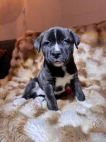 processed/2c6717a7-c2af-4677-bdc8-cdb0fdaa481e/listing/2db0f424-5b13-428a-9e69-a004ad1edc37/54bbeea7-f45a-498b-90f1-2c4f6870b6bd