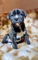 processed/2c6717a7-c2af-4677-bdc8-cdb0fdaa481e/listing/2db0f424-5b13-428a-9e69-a004ad1edc37/8af67ca1-62b0-4047-bbfe-8219d6aeefeb