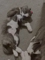 processed/2c6717a7-c2af-4677-bdc8-cdb0fdaa481e/listing/2db0f424-5b13-428a-9e69-a004ad1edc37/9b1dbb03-93d2-47e2-9615-e79c7d0a471d