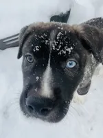 processed/2c6717a7-c2af-4677-bdc8-cdb0fdaa481e/listing/2db0f424-5b13-428a-9e69-a004ad1edc37/e04e4632-068b-4f35-a06c-640c973bcf18