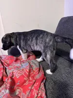 processed/2c6717a7-c2af-4677-bdc8-cdb0fdaa481e/listing/8527be49-769f-4bac-8404-6935679ed33f/1b68a335-8553-4dbc-a918-e5af5679b7f5