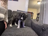 processed/2c6717a7-c2af-4677-bdc8-cdb0fdaa481e/listing/8527be49-769f-4bac-8404-6935679ed33f/7167893a-4306-49b8-aba9-275fbda53f00