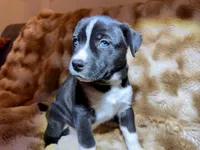 processed/2c6717a7-c2af-4677-bdc8-cdb0fdaa481e/listing/d31b14f8-f007-4c31-944e-308a570210f8/010bd1d8-b2ea-423a-a93c-fd63bcacdff9