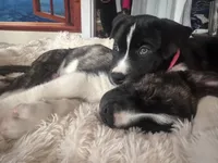 processed/2c6717a7-c2af-4677-bdc8-cdb0fdaa481e/listing/d31b14f8-f007-4c31-944e-308a570210f8/d2fdc3af-940c-427b-a0e5-1c7ef53926dd