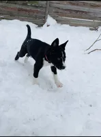 processed/2c6717a7-c2af-4677-bdc8-cdb0fdaa481e/listing/d31b14f8-f007-4c31-944e-308a570210f8/ef2a8459-dc6d-4f8b-9576-01e484207ef8