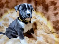 processed/2c6717a7-c2af-4677-bdc8-cdb0fdaa481e/listing/d31b14f8-f007-4c31-944e-308a570210f8/f0f225e3-0887-4a8b-9ad5-ff94adb6559a