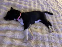 processed/2c6717a7-c2af-4677-bdc8-cdb0fdaa481e/listing/d31b14f8-f007-4c31-944e-308a570210f8/f1749cc1-245f-46ae-bdbf-db29f9139006