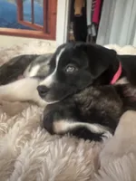 processed/2c6717a7-c2af-4677-bdc8-cdb0fdaa481e/listing/d31b14f8-f007-4c31-944e-308a570210f8/fe9ced7a-45d7-49e3-ac68-32117745bcc0