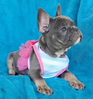 processed/2c6c3ce6-344e-408f-abfb-bcf4acb38614/facility/063c0fc7-09bd-4d07-9fa6-28f980221c96