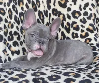 processed/2c6c3ce6-344e-408f-abfb-bcf4acb38614/facility/203e1198-6691-4d5a-b4f5-76af9978e3dd