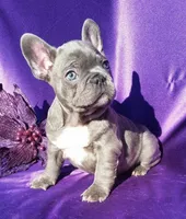 processed/2c6c3ce6-344e-408f-abfb-bcf4acb38614/facility/66aaf800-9117-4aab-8ac3-9aded05f87f6