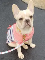 processed/2c6c3ce6-344e-408f-abfb-bcf4acb38614/facility/7ba4c618-0490-49c8-986b-ccb8a09d22b7