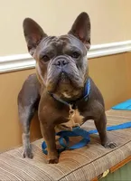 processed/2c6c3ce6-344e-408f-abfb-bcf4acb38614/facility/ae7f71de-f025-4a28-9e2b-cf7ee3ee1904