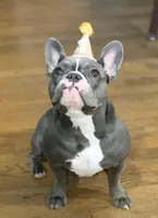 processed/2c6c3ce6-344e-408f-abfb-bcf4acb38614/facility/b79e03ea-8fb1-466a-8fab-62a9a67c0a87