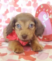 processed/2c6c3ce6-344e-408f-abfb-bcf4acb38614/listing/d5e99ec0-2343-447d-a3ac-be5daef3c6b4/68839b81-d621-4386-9ac1-c04c083598e7