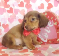 processed/2c6c3ce6-344e-408f-abfb-bcf4acb38614/listing/d5e99ec0-2343-447d-a3ac-be5daef3c6b4/8c2e6943-9d27-4b44-b78a-90a61e9afc86