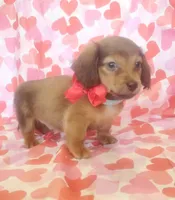 processed/2c6c3ce6-344e-408f-abfb-bcf4acb38614/listing/d5e99ec0-2343-447d-a3ac-be5daef3c6b4/cd4f3ecf-4910-4b4f-992d-14d056b0f42d