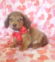 processed/2c6c3ce6-344e-408f-abfb-bcf4acb38614/listing/d5e99ec0-2343-447d-a3ac-be5daef3c6b4/d1e4b18b-585f-4893-b433-ec644445d7e3