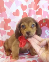 processed/2c6c3ce6-344e-408f-abfb-bcf4acb38614/listing/d5e99ec0-2343-447d-a3ac-be5daef3c6b4/d3b328ca-4698-43b3-be87-57d58b26ce86