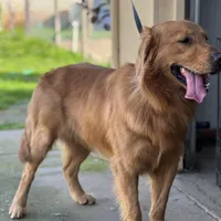 processed/2c7265b1-8d22-445f-a4fb-f2f3da9c4209/facility/483bd239-0722-4185-a2e3-faec13fa8f88