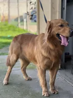 processed/2c7265b1-8d22-445f-a4fb-f2f3da9c4209/facility/483bd239-0722-4185-a2e3-faec13fa8f88