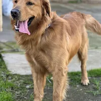 processed/2c7265b1-8d22-445f-a4fb-f2f3da9c4209/facility/5d1f87f0-be4c-4a98-9ca6-35ac1a73aa67