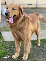 processed/2c7265b1-8d22-445f-a4fb-f2f3da9c4209/facility/5d1f87f0-be4c-4a98-9ca6-35ac1a73aa67