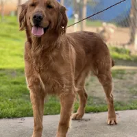 processed/2c7265b1-8d22-445f-a4fb-f2f3da9c4209/facility/797451e3-d240-418e-91ec-59a8f82112fb