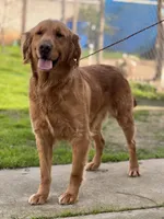 processed/2c7265b1-8d22-445f-a4fb-f2f3da9c4209/facility/797451e3-d240-418e-91ec-59a8f82112fb