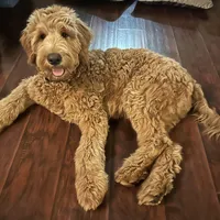 processed/2c7265b1-8d22-445f-a4fb-f2f3da9c4209/facility/9317baf1-ee3b-4e94-89cf-495930f63735