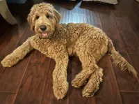 processed/2c7265b1-8d22-445f-a4fb-f2f3da9c4209/facility/9317baf1-ee3b-4e94-89cf-495930f63735