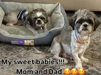 processed/2c770cc8-95d6-4065-9f6a-ac131f6d2f73/facility/9e9f644c-fe57-487e-8334-b45ef4f6ec8c