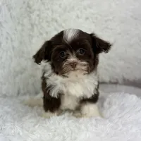 processed/2c789cd3-a3a8-4df2-9161-1502ad0cb6ff/facility/0774da36-01b2-44cd-9a13-b96e222a52f7