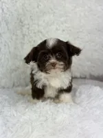 processed/2c789cd3-a3a8-4df2-9161-1502ad0cb6ff/facility/0774da36-01b2-44cd-9a13-b96e222a52f7