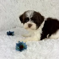 processed/2c789cd3-a3a8-4df2-9161-1502ad0cb6ff/facility/6002664a-f163-482e-8dd4-a6b0fdd084c1