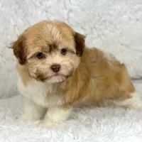 processed/2c789cd3-a3a8-4df2-9161-1502ad0cb6ff/facility/7a0d4b11-c709-4250-9aae-2adf0893bfce