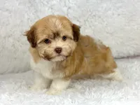 processed/2c789cd3-a3a8-4df2-9161-1502ad0cb6ff/facility/7a0d4b11-c709-4250-9aae-2adf0893bfce