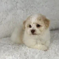 processed/2c789cd3-a3a8-4df2-9161-1502ad0cb6ff/facility/a10c4dff-939c-46ad-b9eb-90a6657524fb