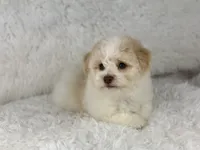 processed/2c789cd3-a3a8-4df2-9161-1502ad0cb6ff/facility/a10c4dff-939c-46ad-b9eb-90a6657524fb