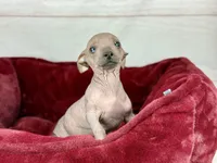 processed/2c789cd3-a3a8-4df2-9161-1502ad0cb6ff/listing/604f53a6-3e57-4c5a-a39a-36d5533371b1/30140ff7-0ed6-4e5e-9e66-a00bef87bb62