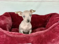 processed/2c789cd3-a3a8-4df2-9161-1502ad0cb6ff/listing/604f53a6-3e57-4c5a-a39a-36d5533371b1/4d3104bb-6ac9-400b-af44-94d247ae14ac