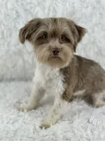 processed/2c789cd3-a3a8-4df2-9161-1502ad0cb6ff/listing/79c6210f-bcc8-4145-8ce2-5af17daba921/d53cccae-042a-4c7b-acd1-eeeb1ea3d3ca