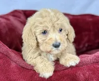 processed/2c789cd3-a3a8-4df2-9161-1502ad0cb6ff/listing/9a455796-6f73-47e1-b2e0-2d936a046d0e/afa93cbd-b5ab-4e67-998b-5bf301c93813